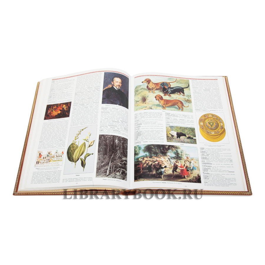 Элитное издание книги Владимир Даль Иллюстрированный толковый словарь живого великорусского языка в кожаном переплете