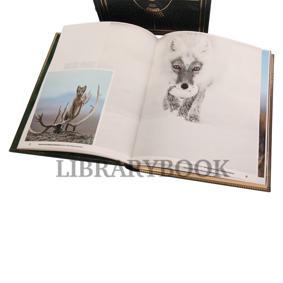 Подарочное издание книги Всемирное наследие России: Архитектура, Природа в 2 томах в кожаном переплете