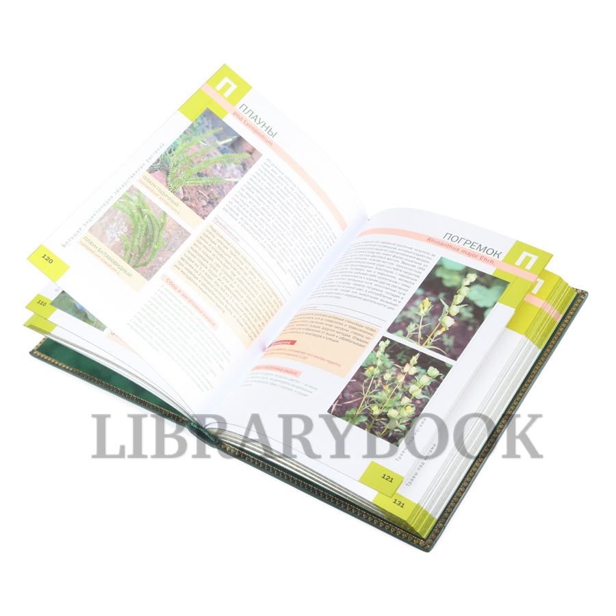 Коллекционная книга Лекарственные растения Татьяна Ильина в кожаном переплете