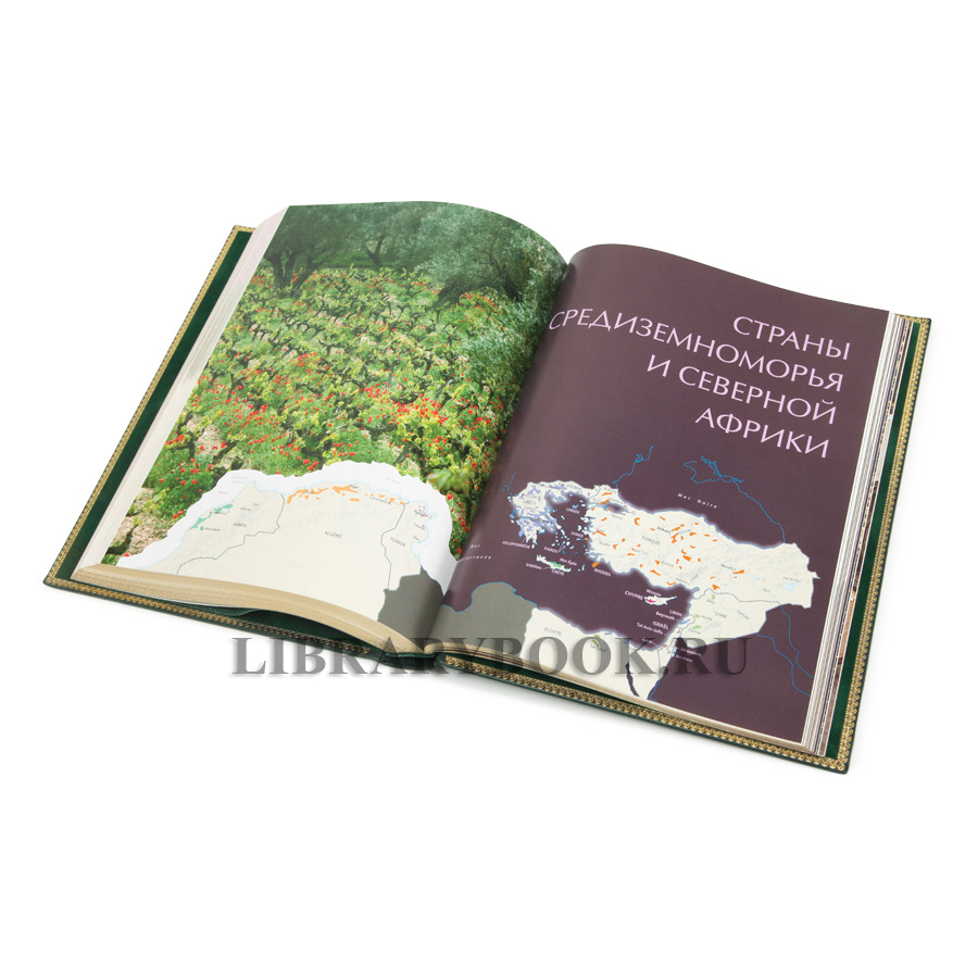 Коллекционная книга Ларусс. Вино. Энциклопедия Оливье Пусье в кожаном переплете