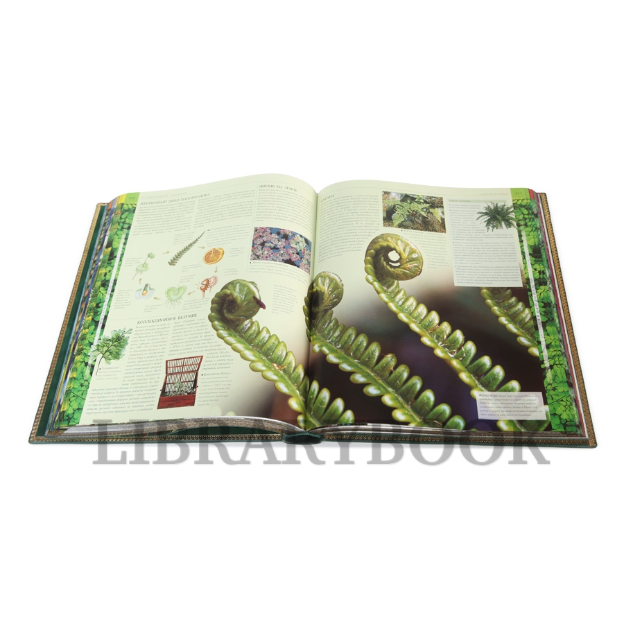 Эксклюзивное издание книги Растения. Энциклопедия Джанет Маринелли в кожаном переплете