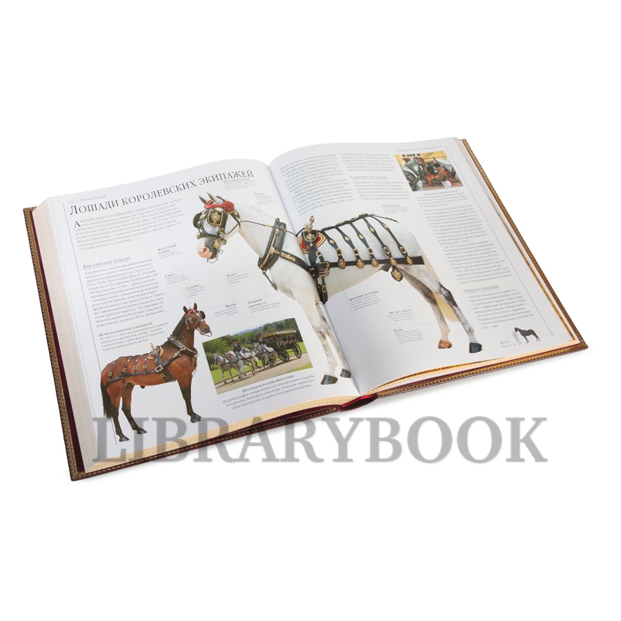 Коллекционная книга Новая энциклопедия Лошади Элвин Хартли Эдвардс в кожаном переплете
