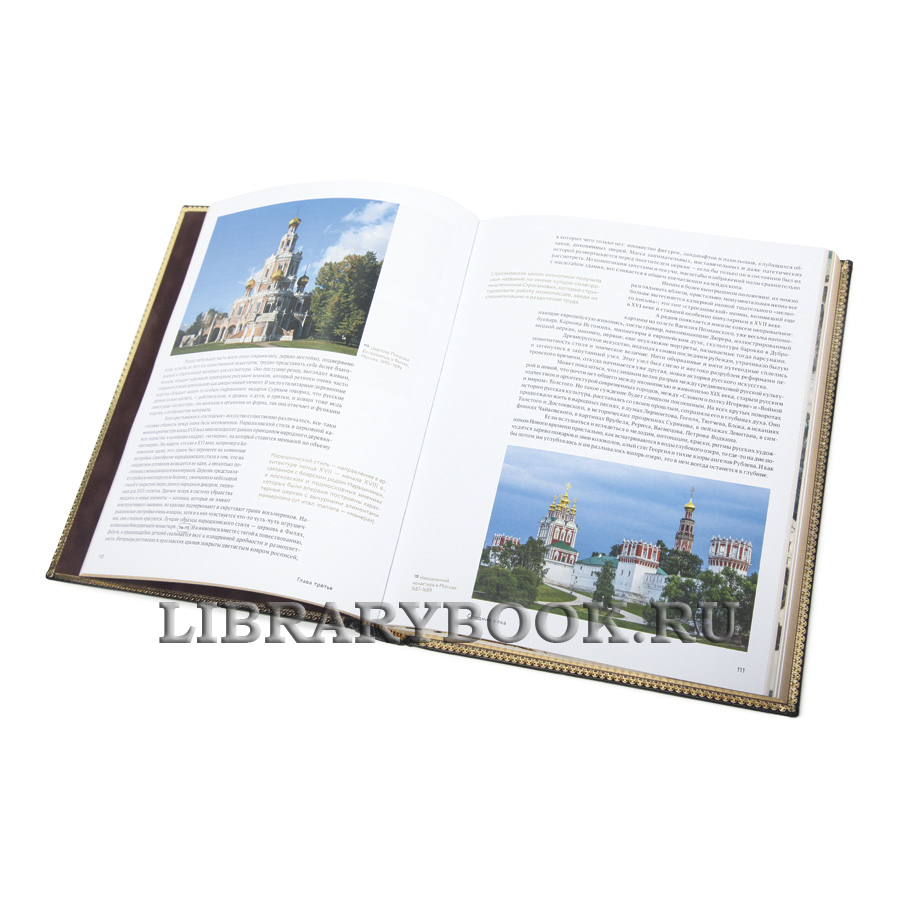 Элитная книга Краткая история искусств Нина Дмитриева в кожаном переплете