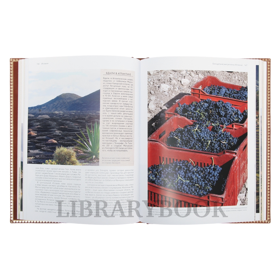 Подарочное издание книги Мир Вина Оз Кларк в кожаном переплете