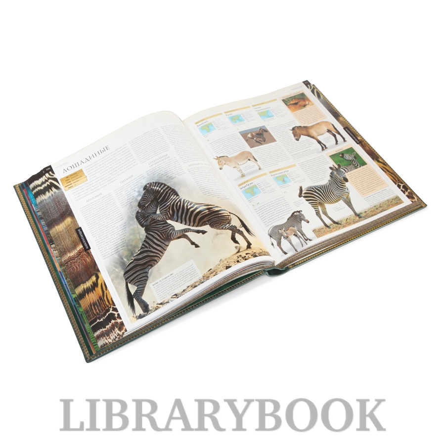 Элитная книга Животные Иллюстрированная энциклопедия животных всего мира в кожаном переплете