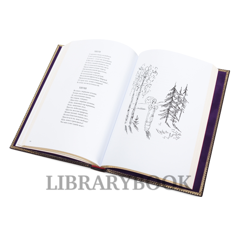 Элитное издание книги Евгений Онегин Александр Пушкин в кожаном переплете