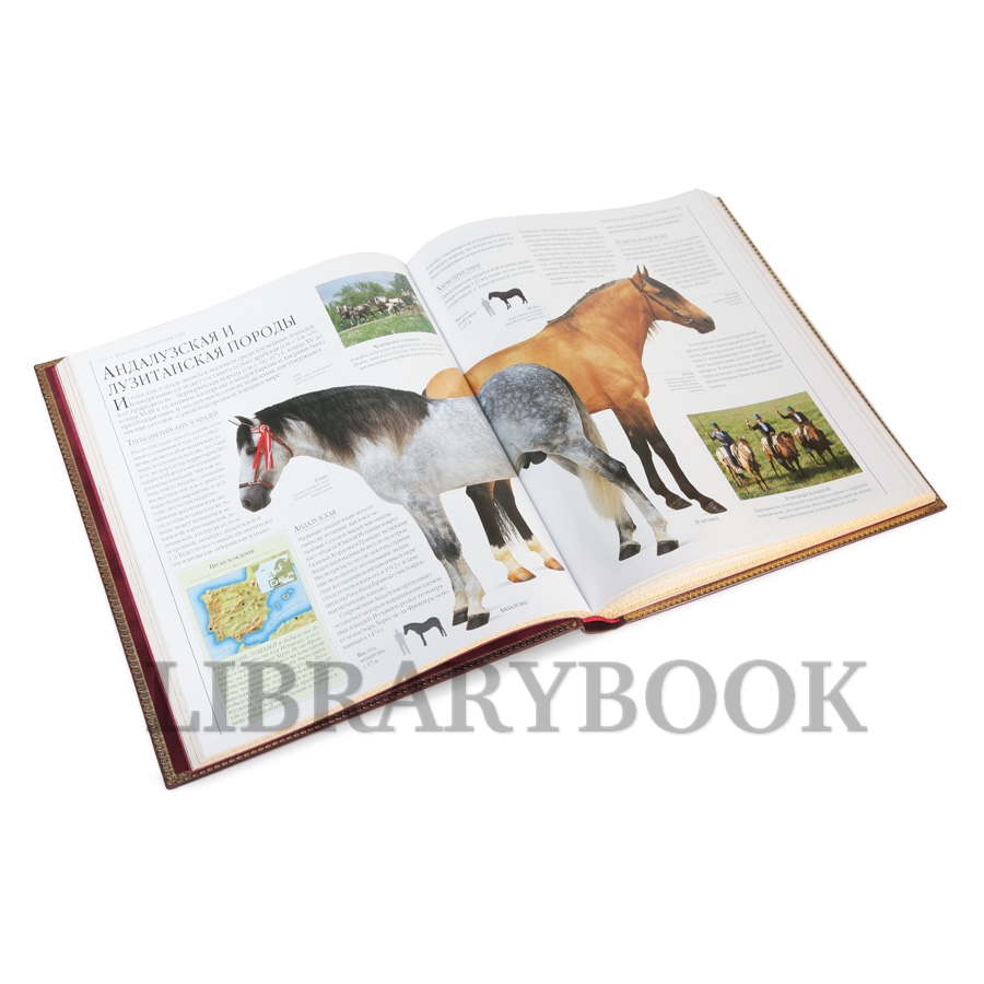 Коллекционная книга Новая энциклопедия Лошади Элвин Хартли Эдвардс в кожаном переплете
