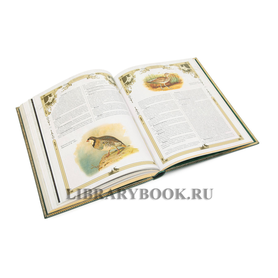 Большая книга русской охоты Леонид Сабанеев в кожаном переплете