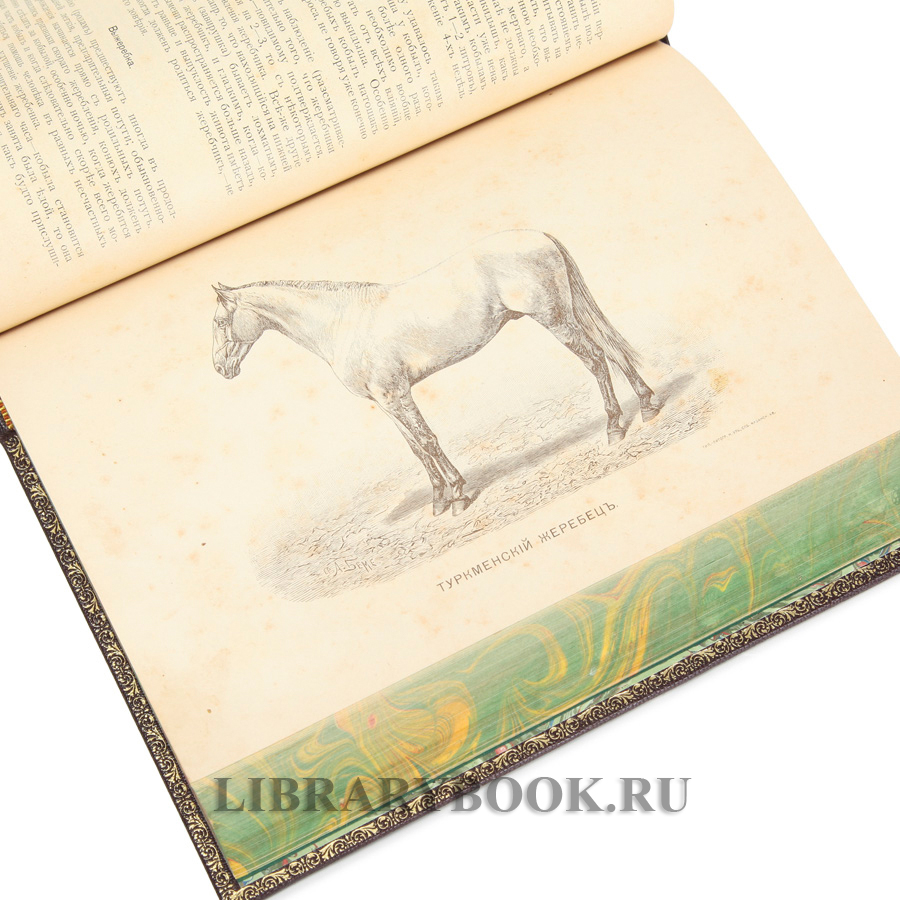 Эксклюзивное издание Книга о лошади в 2-х томах Сергей Урусов в кожаном переплете