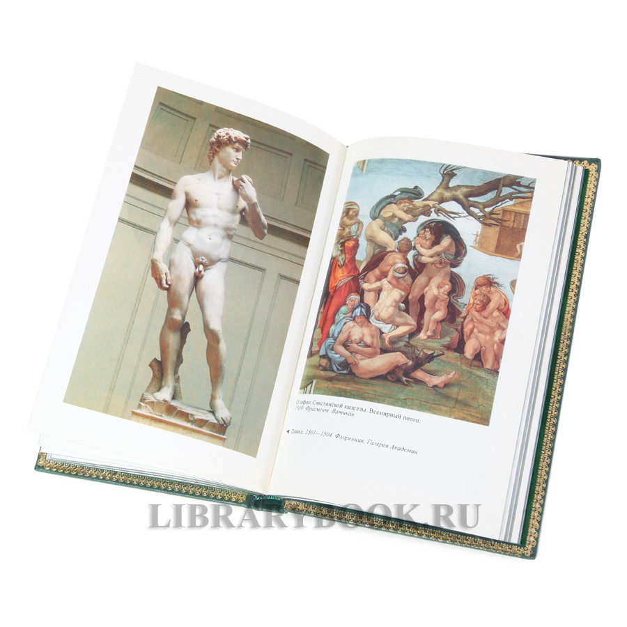 Подарочная книга Микеланджело Марсель Брион в кожаном переплете