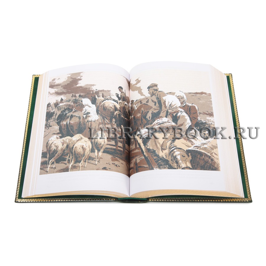 Коллекционные книги Михаил Шолохов Тихий Дон в 2 томах
