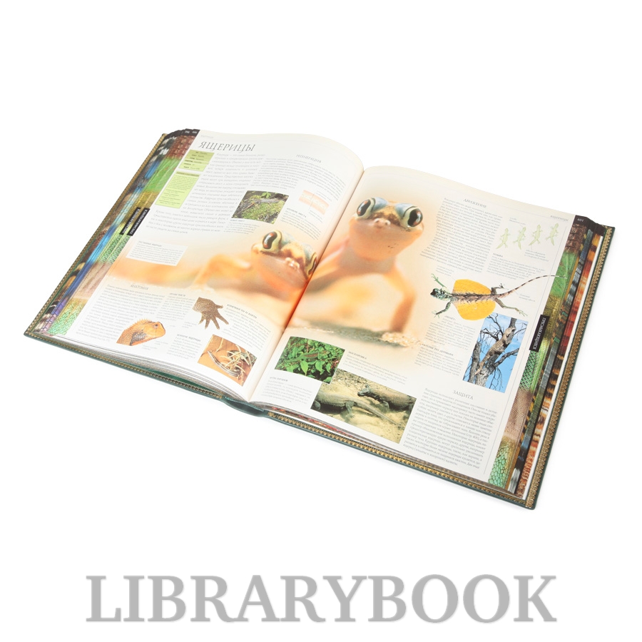 Элитная книга Животные Иллюстрированная энциклопедия животных всего мира в кожаном переплете