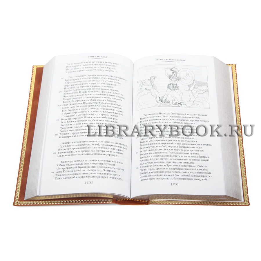 Эксклюзивная книга Гомер Илиада. Одиссея