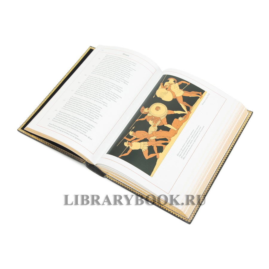 Коллекционное издание книги Илиада. Одиссея Гомер в кожаном переплете