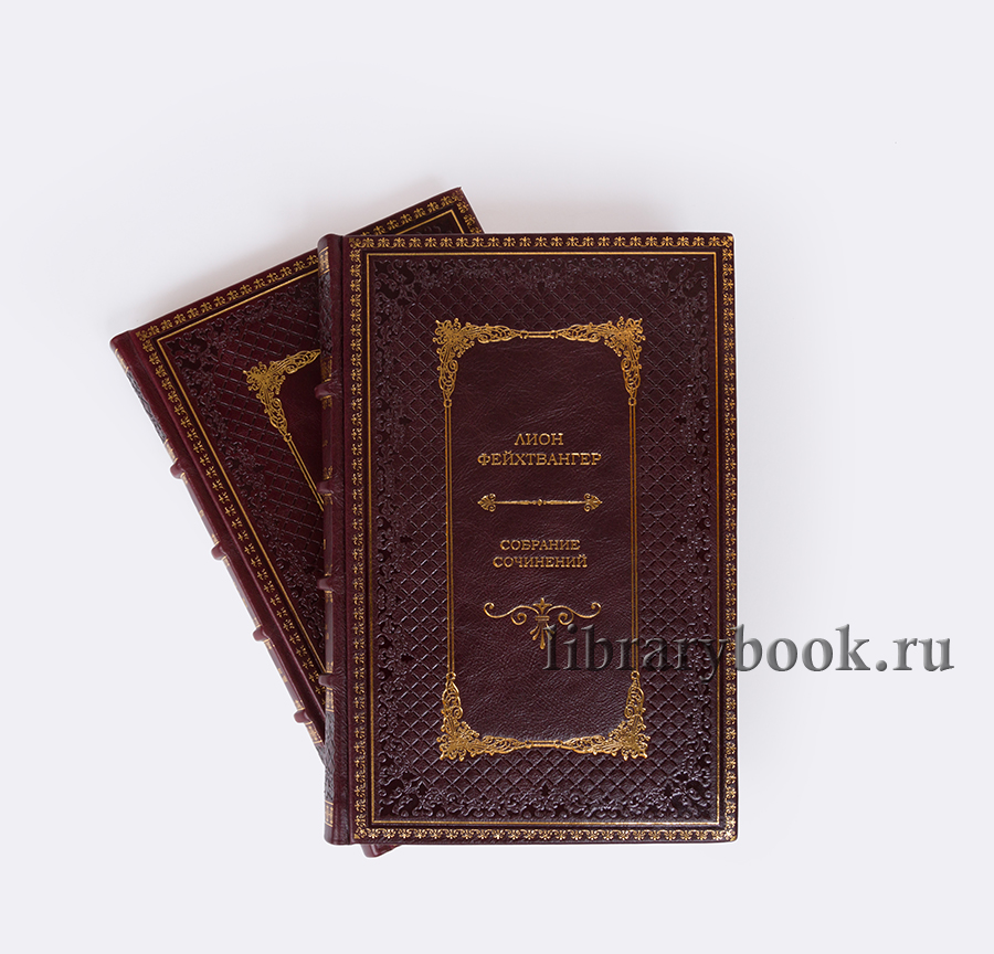 Подарочное издание книги Лион Фейхтвангер. Собрание сочинений в 20 томах в кожаном переплете