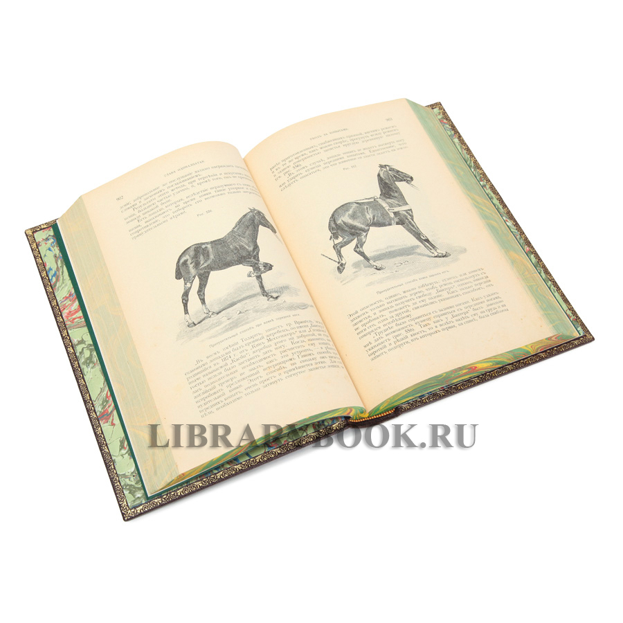 Эксклюзивное издание Книга о лошади в 2-х томах Сергей Урусов в кожаном переплете