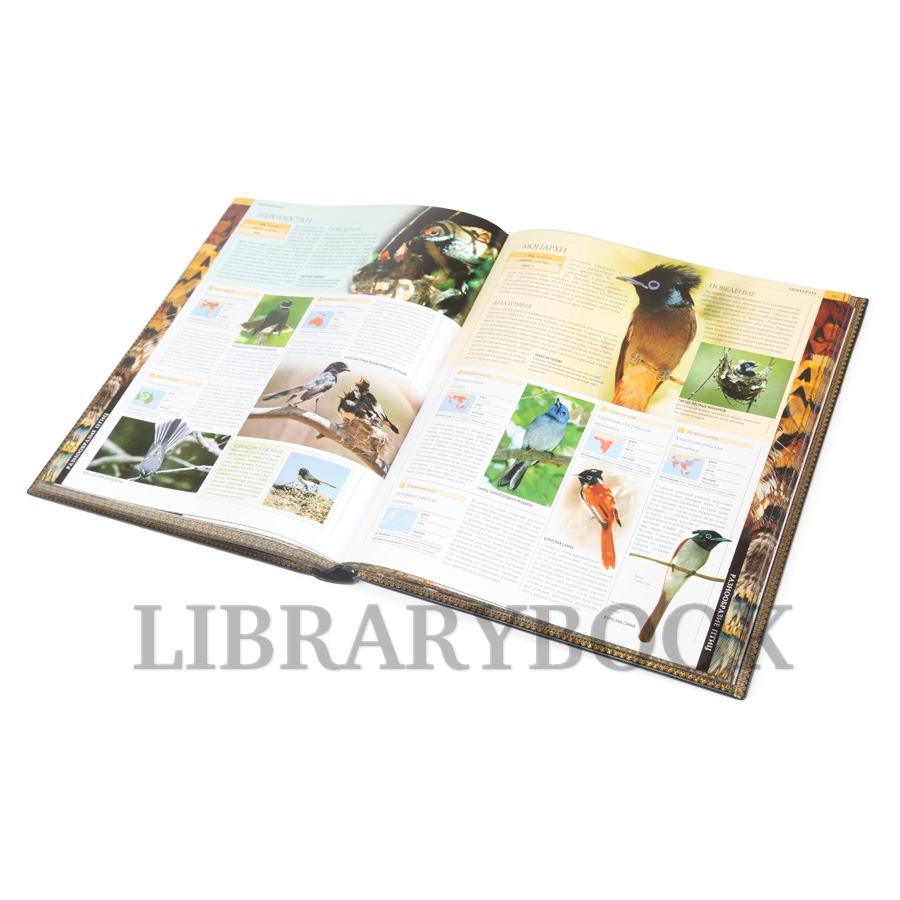 Коллекционное издание книги Птицы. Энциклопедия в кожаном переплете
