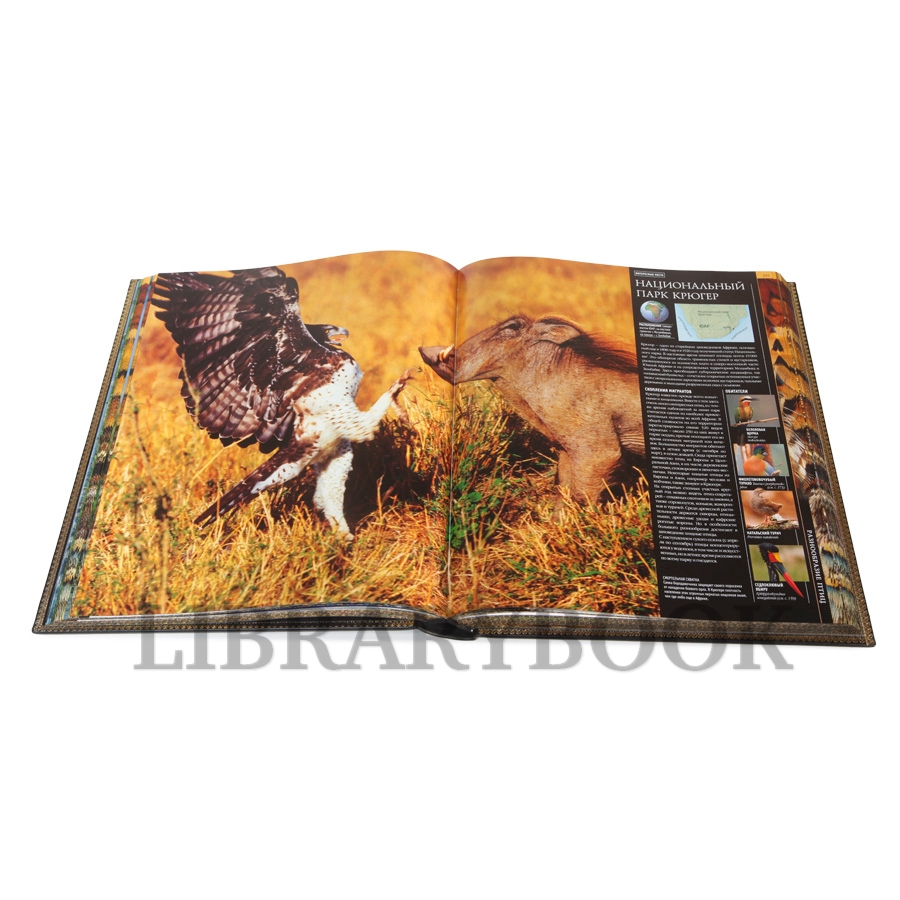 Коллекционное издание книги Птицы. Энциклопедия в кожаном переплете