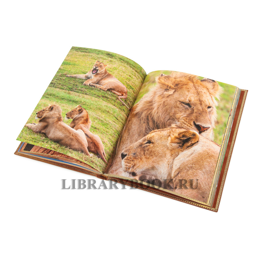 Эксклюзивное издание книги Африка Марина Кравчук в кожаном переплете