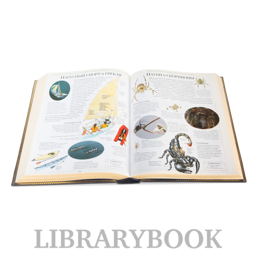 Элитная книга Детская иллюстрированная энциклопедия в кожаном переплете