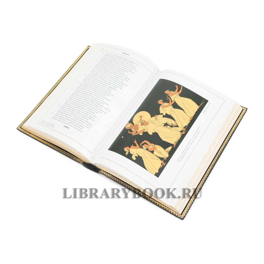Коллекционное издание книги Илиада. Одиссея Гомер в кожаном переплете
