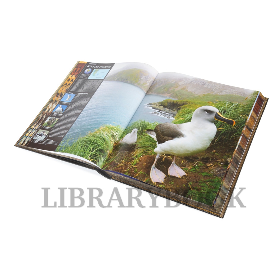 Коллекционное издание книги Птицы. Энциклопедия в кожаном переплете