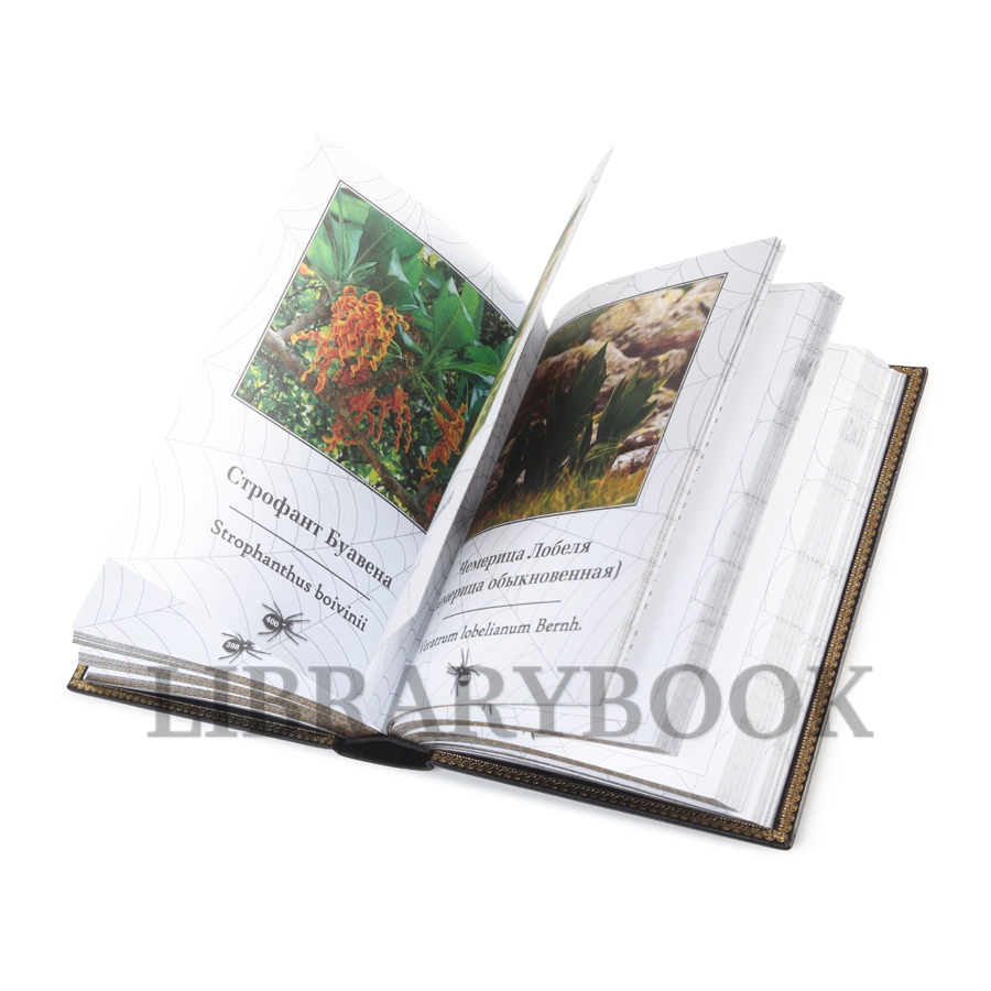 Эксклюзивная книга Яды И.А. Трахтенберг, А.А. Белоусов в кожаном переплете