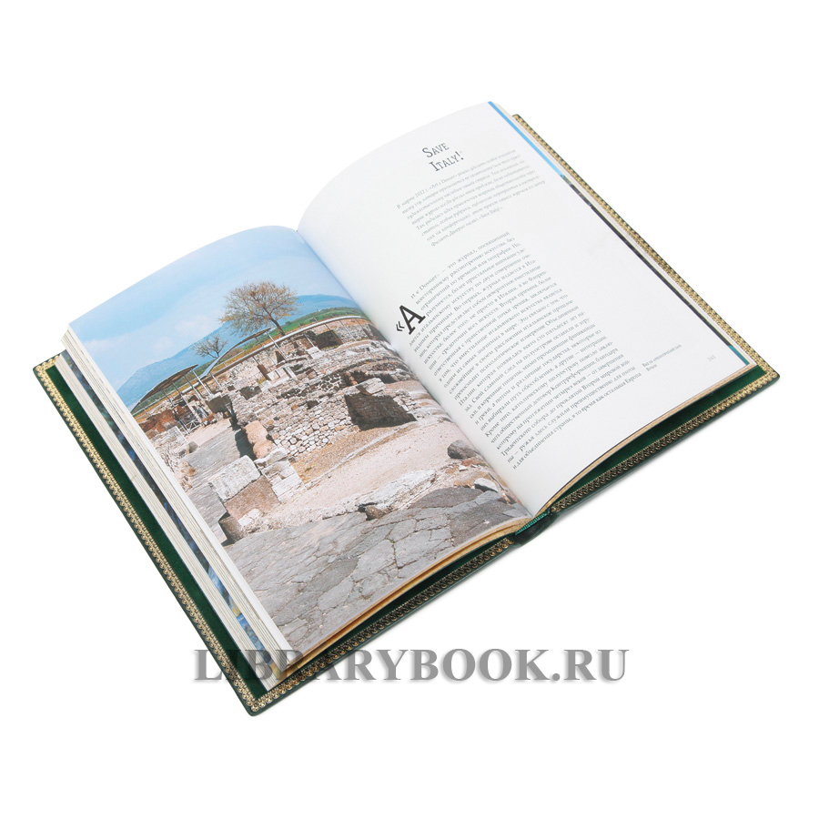 Эксклюзивное издание книги Искусство смотреть искусство. От Джотто до Уорхола Филипп Даверио в кожаном переплете