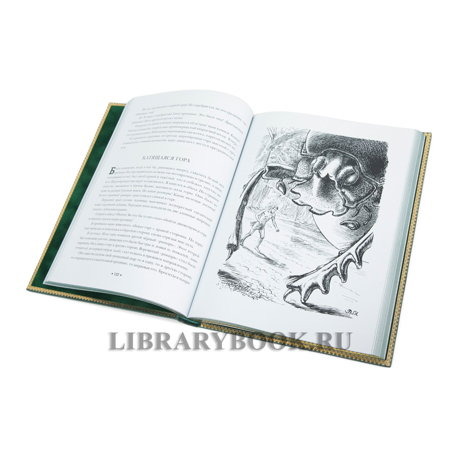 Подарочная книга В Стране Дремучих Трав Владимир Брагин в кожаном переплете