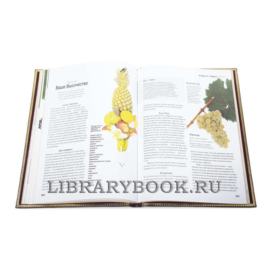 Эксклюзивная книга Просто о лучших винах. Новая энциклопедия в кожаном переплете
