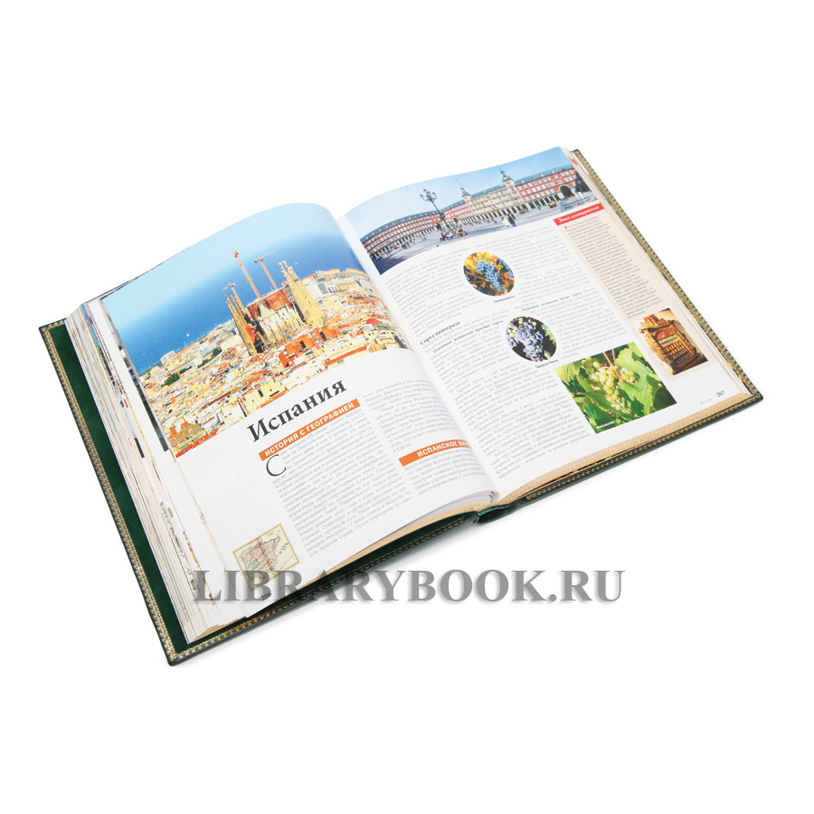 Эксклюзивная книга Большая книга вин и алкогольных напитков мира. Энологическое путешествие вокруг света. Друбачевская Ирина в кожаном переплете