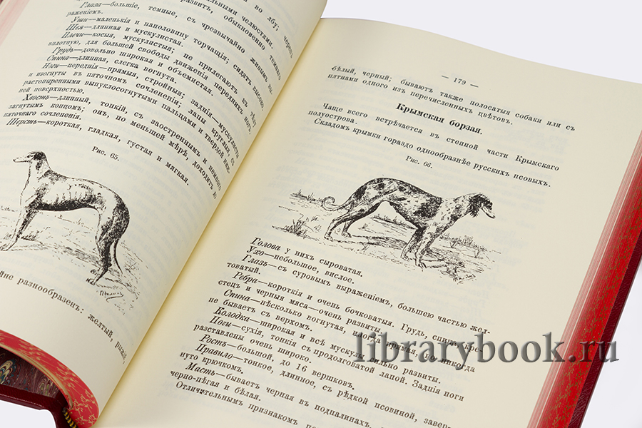 Подарочное книги Охота и рыбалка коллекционное издание в 5 книгах в кожаном переплете