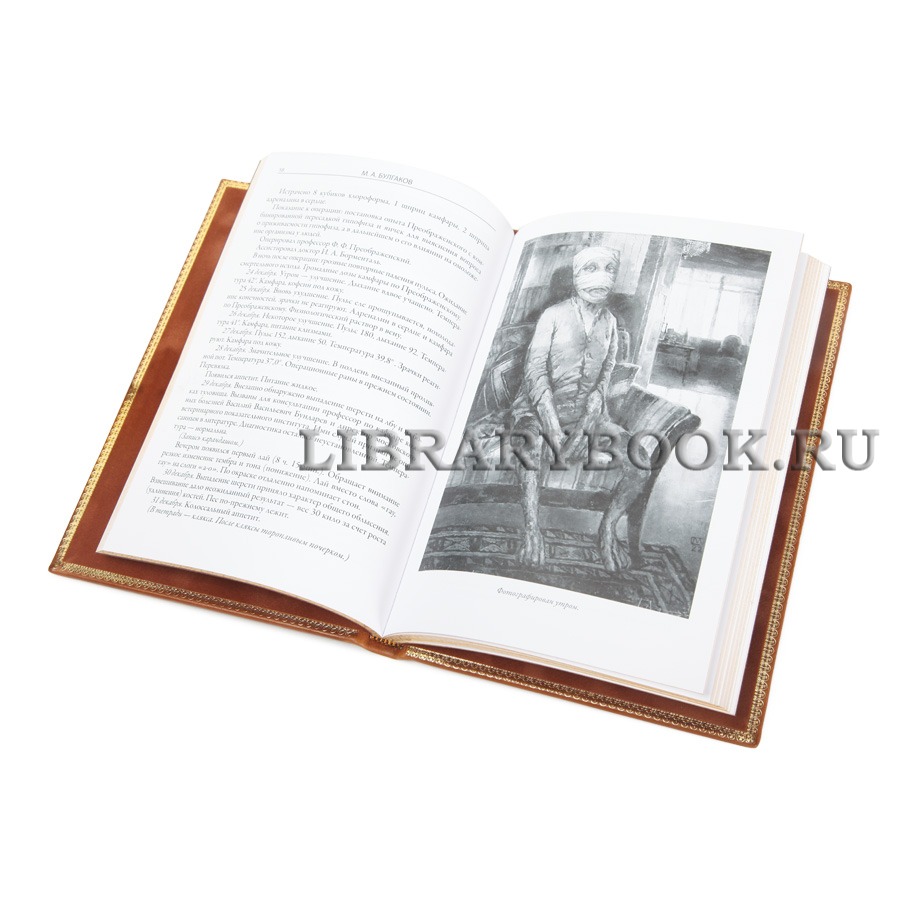 Подарочная книга Михаил Булгаков Собачье сердце. Рассказы