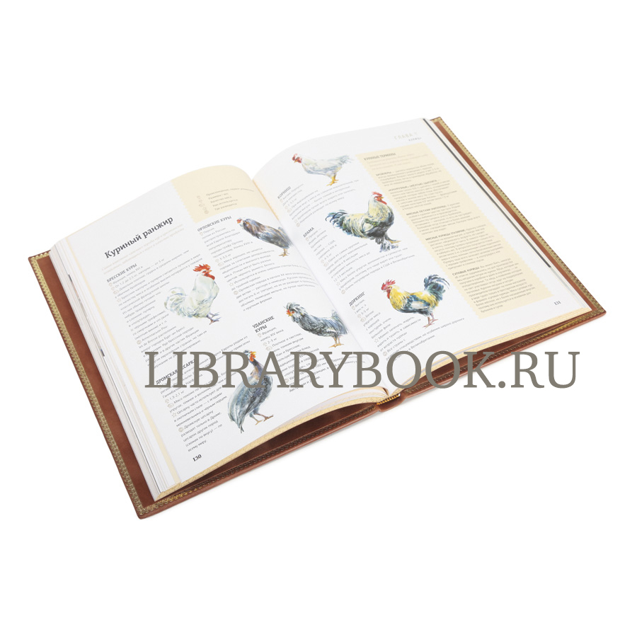 Эксклюзивное издание книга Вино и еда. Краткий курс для гурманов в кожаном переплете