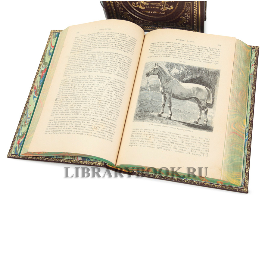Эксклюзивное издание Книга о лошади в 2-х томах Сергей Урусов в кожаном переплете