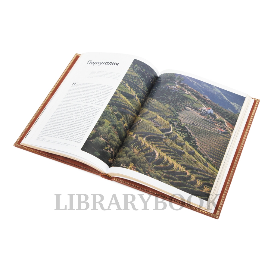 Подарочное издание книги Мир Вина Оз Кларк в кожаном переплете