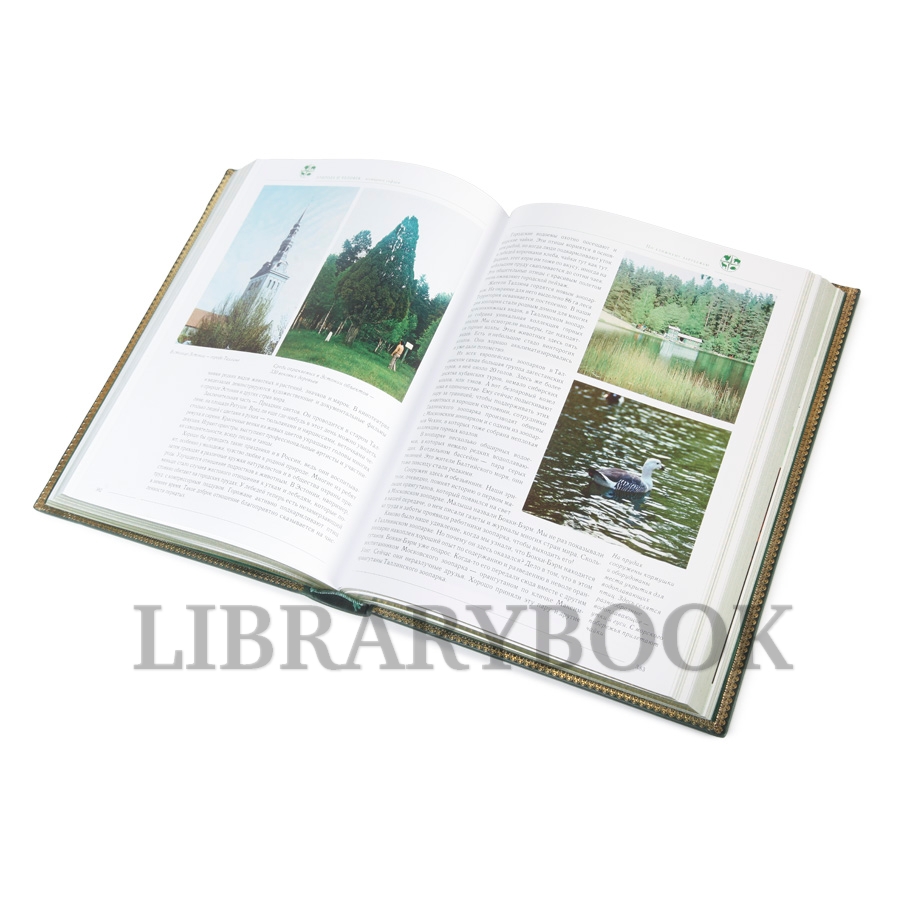 Элитная книга Природа и человек: всемирное сафари Николай Дроздов, Алексей Макеев в кожаном переплете