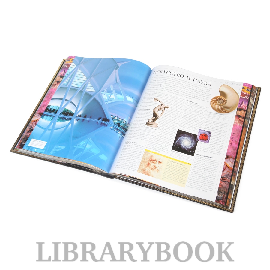 Элитное издание книги Энциклопедия Человек Уинстон Роберт в кожаном переплете