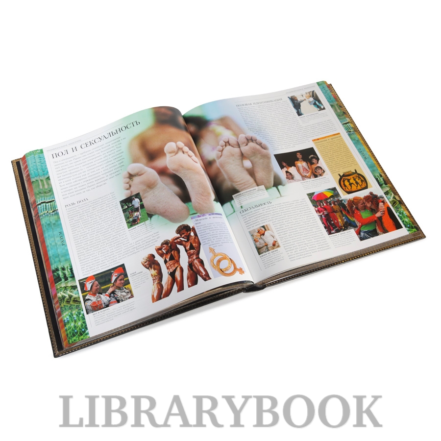 Элитное издание книги Энциклопедия Человек Уинстон Роберт в кожаном переплете