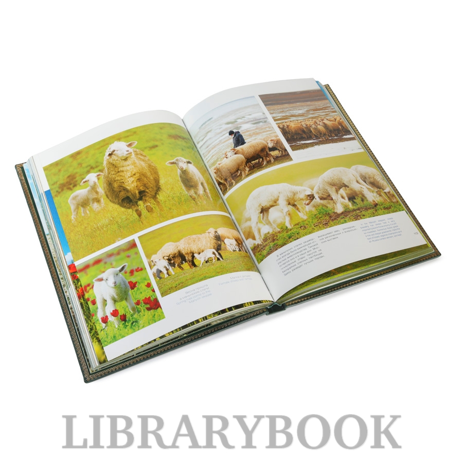 Элитное издание книги Живая природа Манычской долины в кожаном переплете