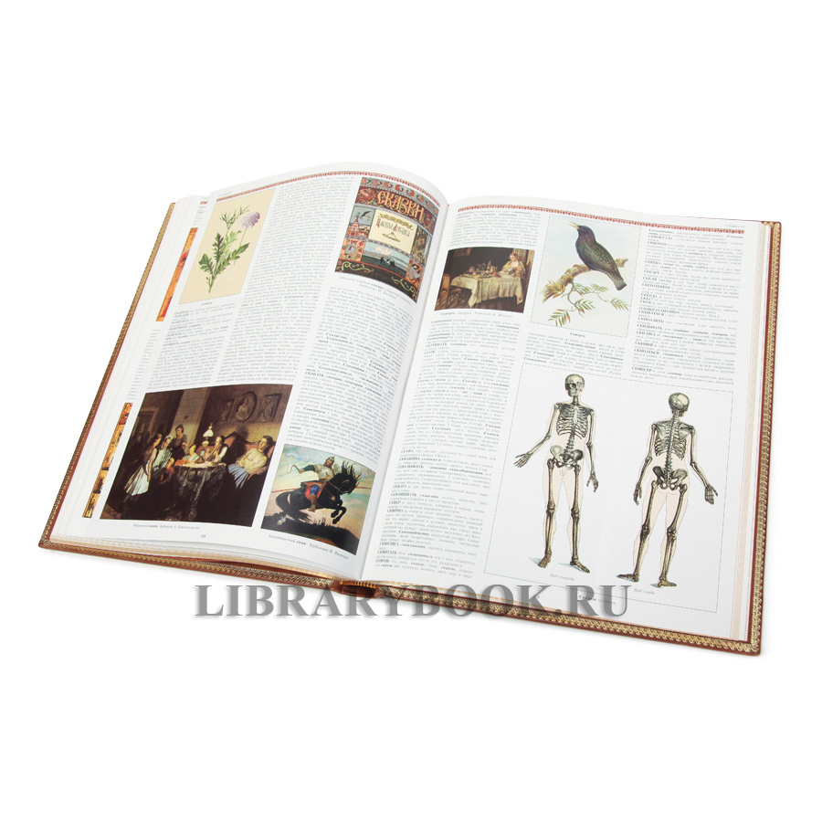 Элитное издание книги Владимир Даль Иллюстрированный толковый словарь живого великорусского языка в кожаном переплете