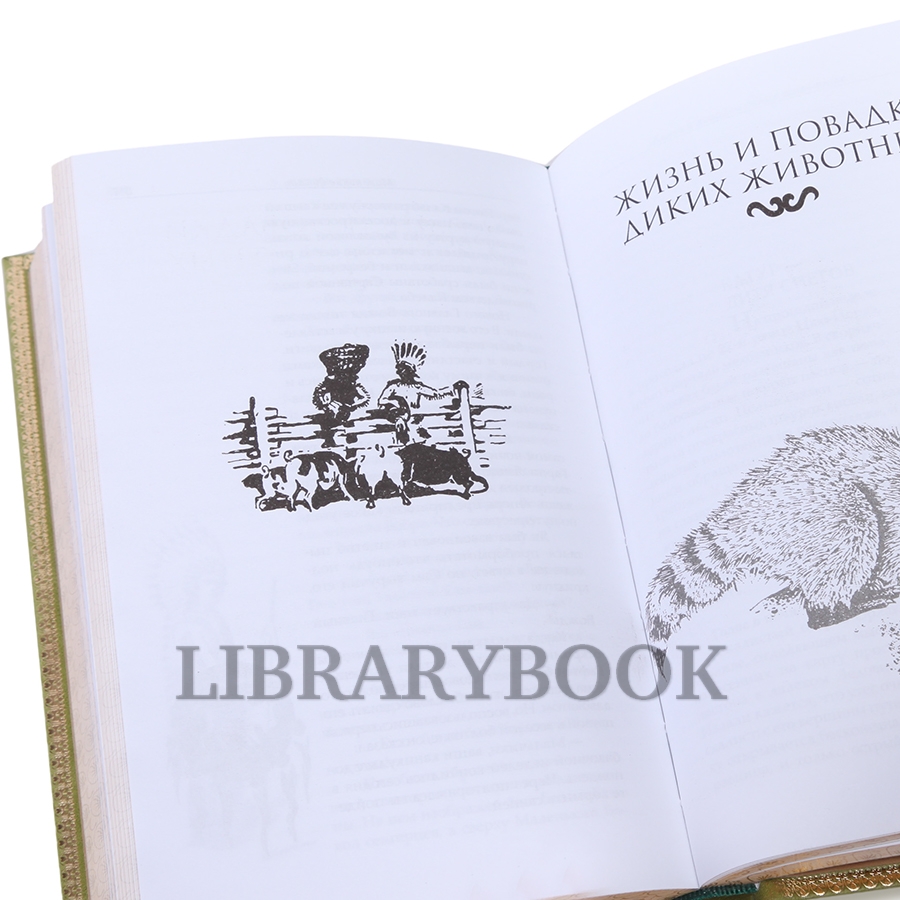 Элитное издание книги Эрнест Сетон-Томпсон. Собрание сочинений в 4 томах в кожаном переплете