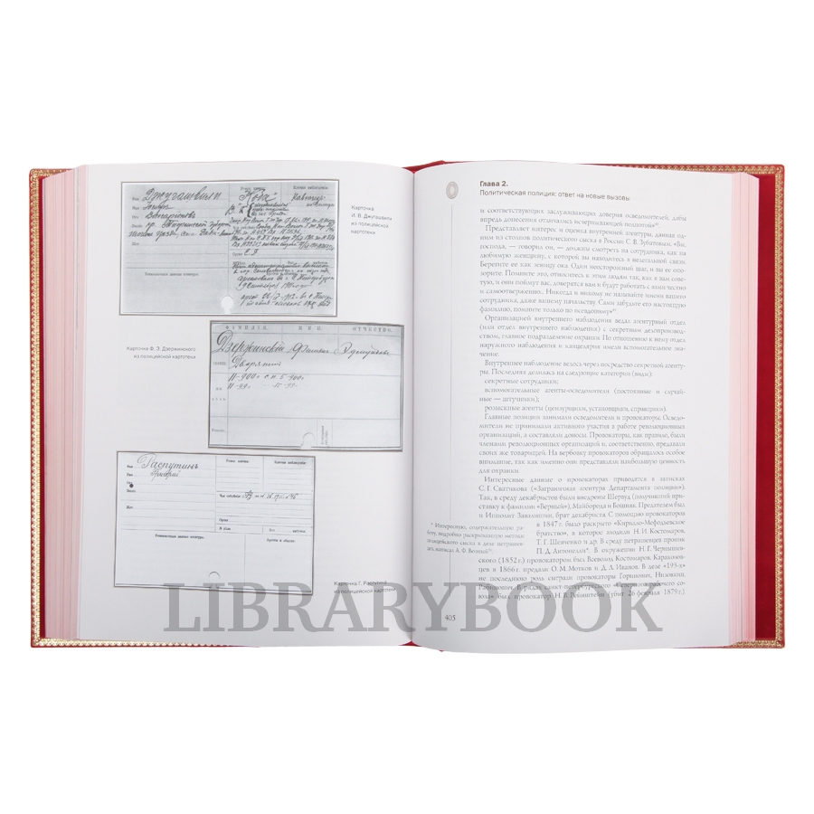 Подарочное издание книги История Полиции. Александр Борисов в кожаном переплете