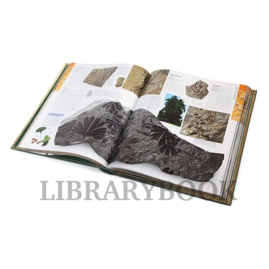 Коллекционная книга Развитие жизни на земле в кожаном переплете