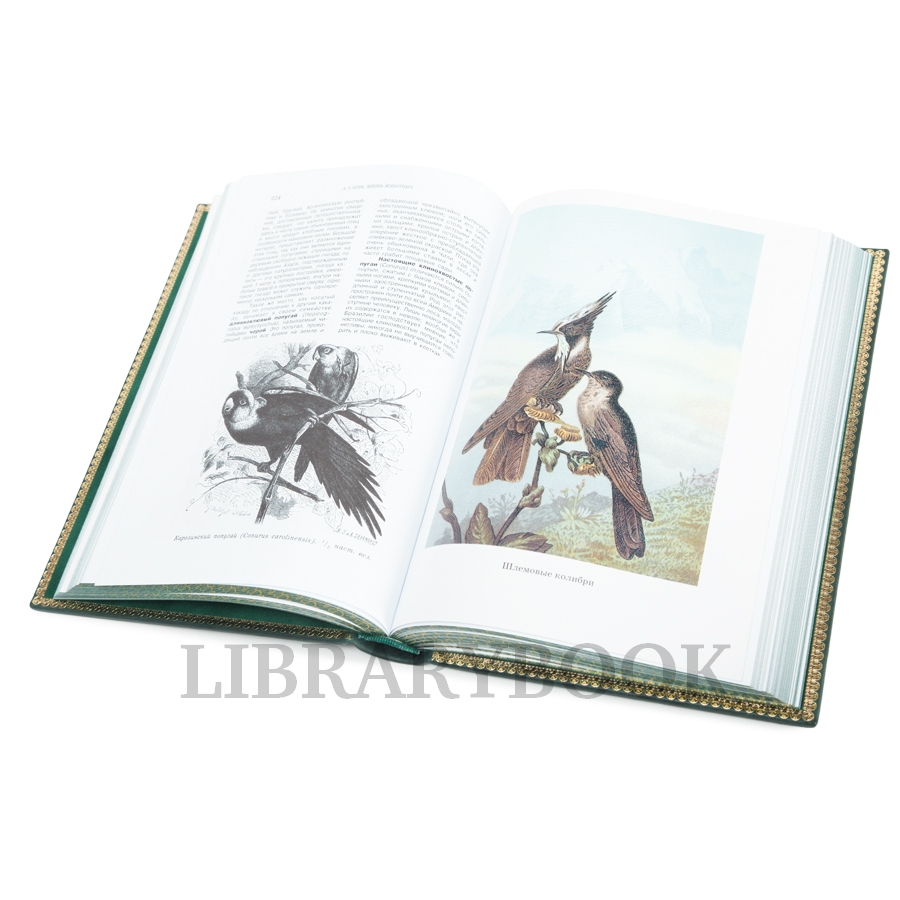 Элитное издание книги Альфред Брэм. Жизнь животных в 3 томах в кожаном переплете