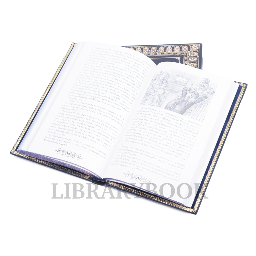 Подарочное издание книги Похождения бравого солдата Швейка в 2 томах в кожаном переплете