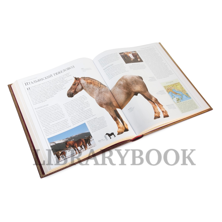 Коллекционная книга Новая энциклопедия Лошади Элвин Хартли Эдвардс в кожаном переплете