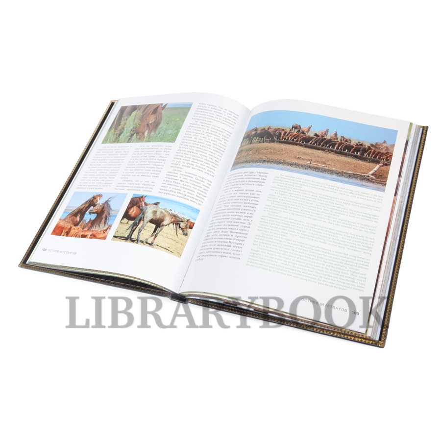 Коллекционное издание Остров мустангов Александр Липкович в кожаном переплете