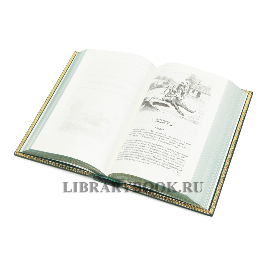 Эксклюзивное издание Похитители бриллиантов. Капитан Сорви-голова. Ледяной ад Луи Буссенар в кожаном переплете