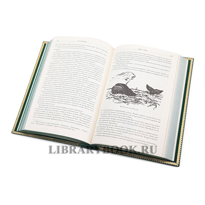 Миниатюра - 